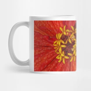 zinnia flower bloom in red and orange floral fantasy Mug